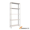 TRUSCO 軽量棚 中棚ボルトレス型 W875XD300XH2100 5段 L73V-15 NG