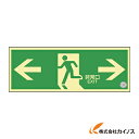 緑十字 中輝度蓄光避難誘導ステッカー標識 ←非常口→ 120×360 消防認定品 068003 【 通販 おすすめ 人気 価格 安い おしゃれ 】(4)