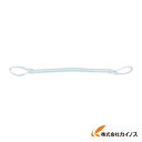 TESAC 耐化学薬品用スリング(JIS2等級・両端アイ形)25mm幅×2m PP2E25X2 【 通販 おすすめ 人気 価格 安い おしゃれ 】