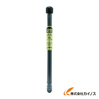 ڥ᡼ظۥե ѥ㡼ץڥ󥷥20mmؿ 2B R2B20-H R2B20H    ͵  ¤  