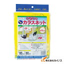 Dio 我が家のカラスネット 0．8m×0．8m 270434 【最安値挑戦 通販 おすすめ 人気 価格 安い おしゃれ 】