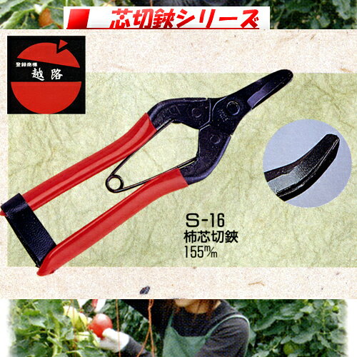 Rakuten - 越路　柿芯切鋏　155ミリ