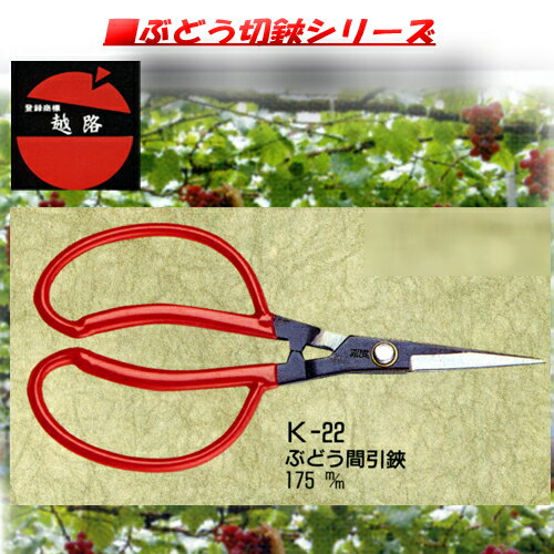 越路　ぶどう間引鋏　175ミリ