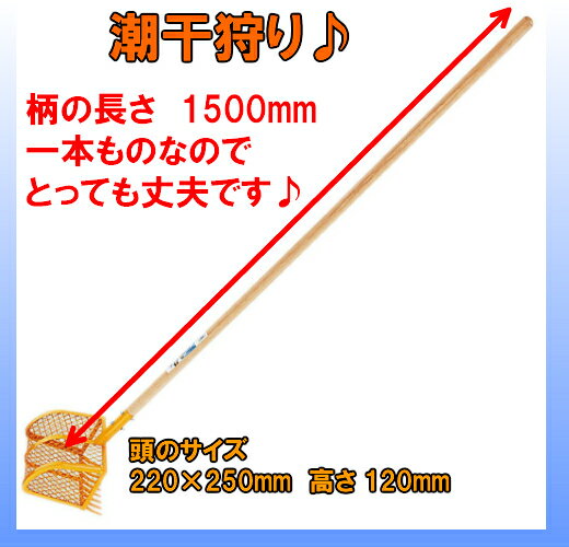 【送料無料】【潮干狩りに大活躍♪】　あさり取りジョレン　大　1500mm柄　（中）　一本もの　　 （カネコ総業）【潮干狩り/アサリ/貝/干潟】のサムネイル