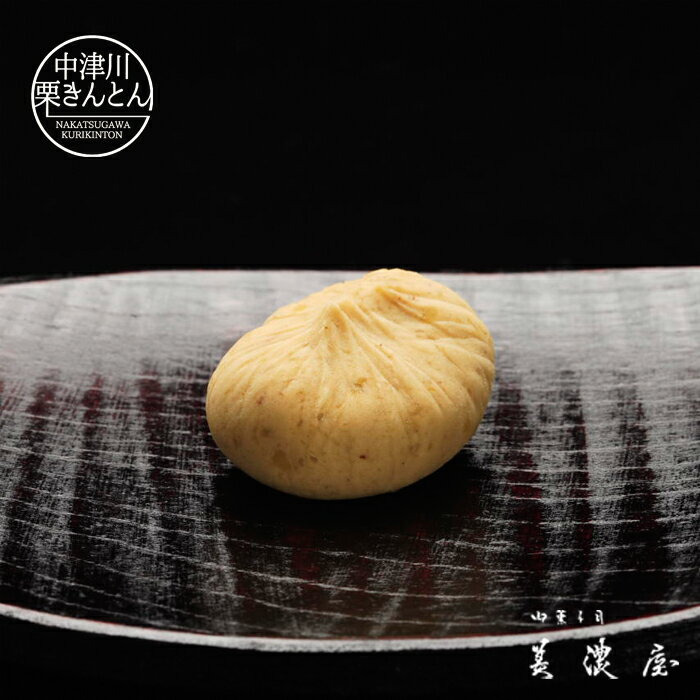 【新栗】中津川 栗きんとん 10個入 国内特選栗使用 中津川銘菓 和菓子 栗きんとん 中津川 岐阜 干柿 御歳暮 高級 ギフト