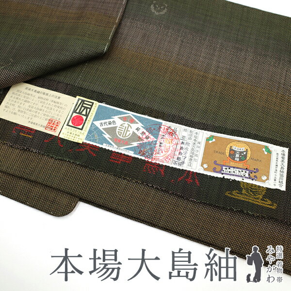 乐天商城 - 【新古品】 本場大島紬 着物 大島紬 正絹 袷 古代染色純泥染 7マルキ カタス式 黒こげ茶 三色ぼかし 梅 春 夏 秋 カジュアル 未使用 仕立て上がり 身丈159.5 裄丈65 Mサイズ みやがわ sb14501