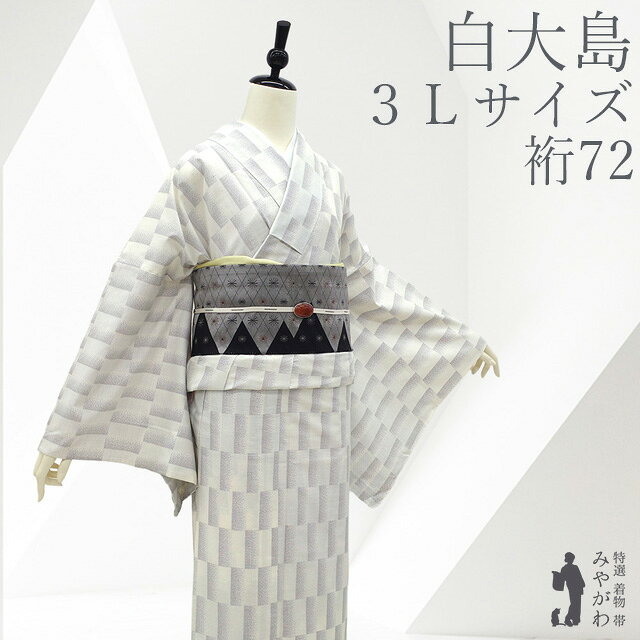 楽天市場】単衣着物 白大島の通販