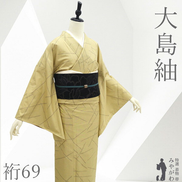 楽天市場】本場 大島 紬（カラーベージュ）（着物｜和服）：レディース