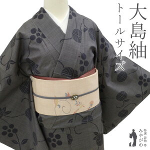 【中古】 本場大島紬 着物 袷 正絹 泥染 7マルキ カタス式 ますいわ屋 扱い 檳榔子染地 濃グレー 笹蔓 レア色 お洒落 カジュアル 春 秋 冬 仕立て上がり 身丈171 裄丈71.5 TLサイズ トールサイズ LL 2L みやがわ sb15443