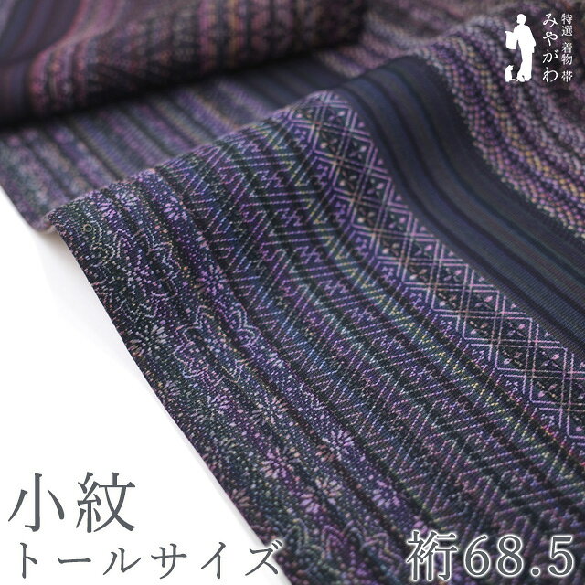 【中古】 小紋 着物 正絹 袷 手染め 紫 茶 ベージュ ブラウン 黒 縞 青海波 七宝 紗綾型 小花 寄せ柄 江戸小紋柄 織柄 上質 極上 カジュアル リサイクル 春 秋 冬 仕立て上がり TLサイズ トールサイズ 2L LL みやがわ sb17545