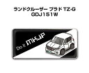 エンブレム 2個入り H25mm×W55mm 車種別 シンプル ドレスアップ 飾り 車特集 トヨタ ランドクルーザー プラド TZ-G GDJ151W 送料無料