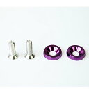 送料無料 フェンダーワッシャー ナンバーボルト 2個 1SET 盗難防止 輸入品 パープル紫/JDM/パスワード/USDM/SKUNK/送料込み