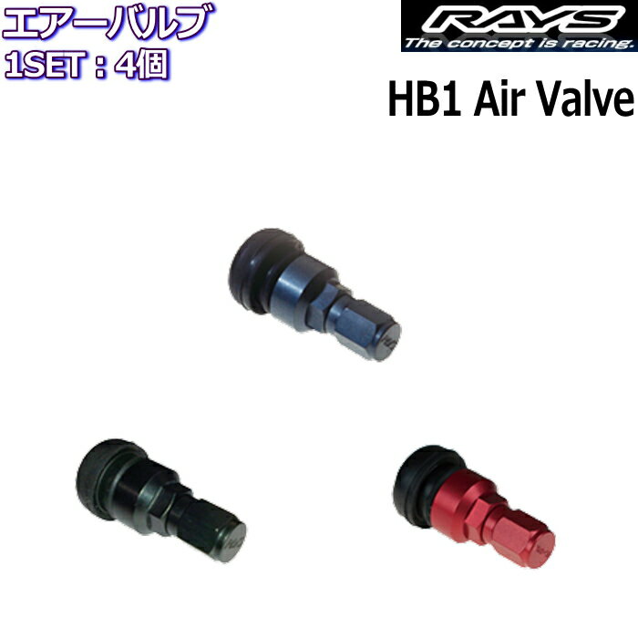 RAYS/쥤 Х HB1Х 4ĥå  쥤ۥ