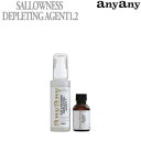 anyany SALLOWNESS DEPLETING AGENT 1.2 黄ばみ除去剤 ヘッドライトコーティング剤 内容量 100ml/25ml 磨き用スポンジ×2個 塗り込みスポンジ×6個 No.31550010