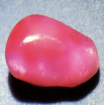 コンクパール 0.55ct 裸石 ルース ピンク貝Strombus Gigasの天然真珠 オレンジピンク カリブ海 ソーティング付 瑞浪鉱物展示館 4981