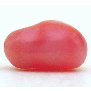 コンクパール 0.55ct 裸石 ルース ピンク貝Strombus Gigasの天然真珠 オレンジピンク カリブ海 ソーティング付 瑞浪鉱物展示館 4981