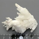 鉱物標本 あられ石 Aragonite メキシコ産 瑞浪鉱物展示館 5247(3)