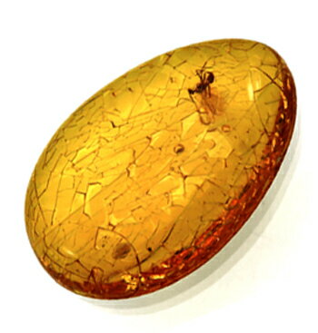 化石 虫入り琥珀 コハク Amber 8.44ct ルース ドミニカ共和国 瑞浪鉱物展示館 5305