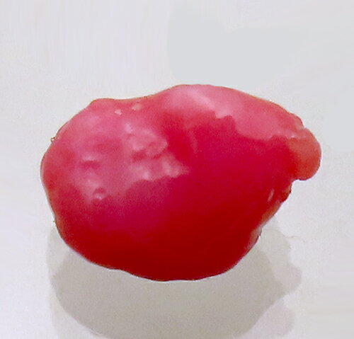 コンクパール 0.69ct ルース 色むらのない濃いめのピンク カリブ海 【鉱物標本プレゼント中】 瑞浪鉱物展示館 5706 コンクパール 0.69ct ルース 色むらのない濃いめのピンク カリブ海 【鉱物標本プレゼント中】 瑞浪鉱物展示館 5706