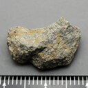 レクトライト Rectorite 珍しい混合層粘土鉱物 国産鉱物 秋田県花岡鉱山 瑞浪鉱物展示館 5816
