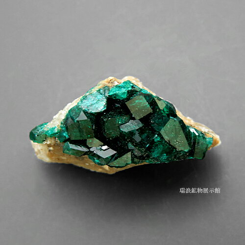 翠銅鉱 Dioptase 鉱物標本 美結晶 カザフスタン 瑞浪鉱物展示館 5960