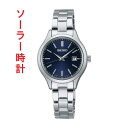 ZCR[ ZNV SEIKO SELECTION SV[Y \[[ rv STPX095  wl fBX F lCr[ n ΉL 񂹕i