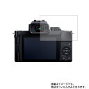 Panasonic LUMIX G100 py ˖h~ }bg mtB[ ^Cv zt ی tB  fWJ fW^J J t  ی tB V[g یtB یV[g