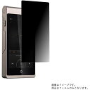 【2枚セット】Cayin i5 DAP 用【 4way のぞき見防止 プライバシー保護 】液晶 保護 フィルム ★ カイン