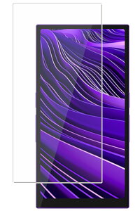 【2枚セット】HiBy R6 Pro II 用【 抗菌 抗ウイルス 防指紋 クリア 】 液晶 保護 フィルム ★ ハイビーミュージック アール シックス プロ ツー