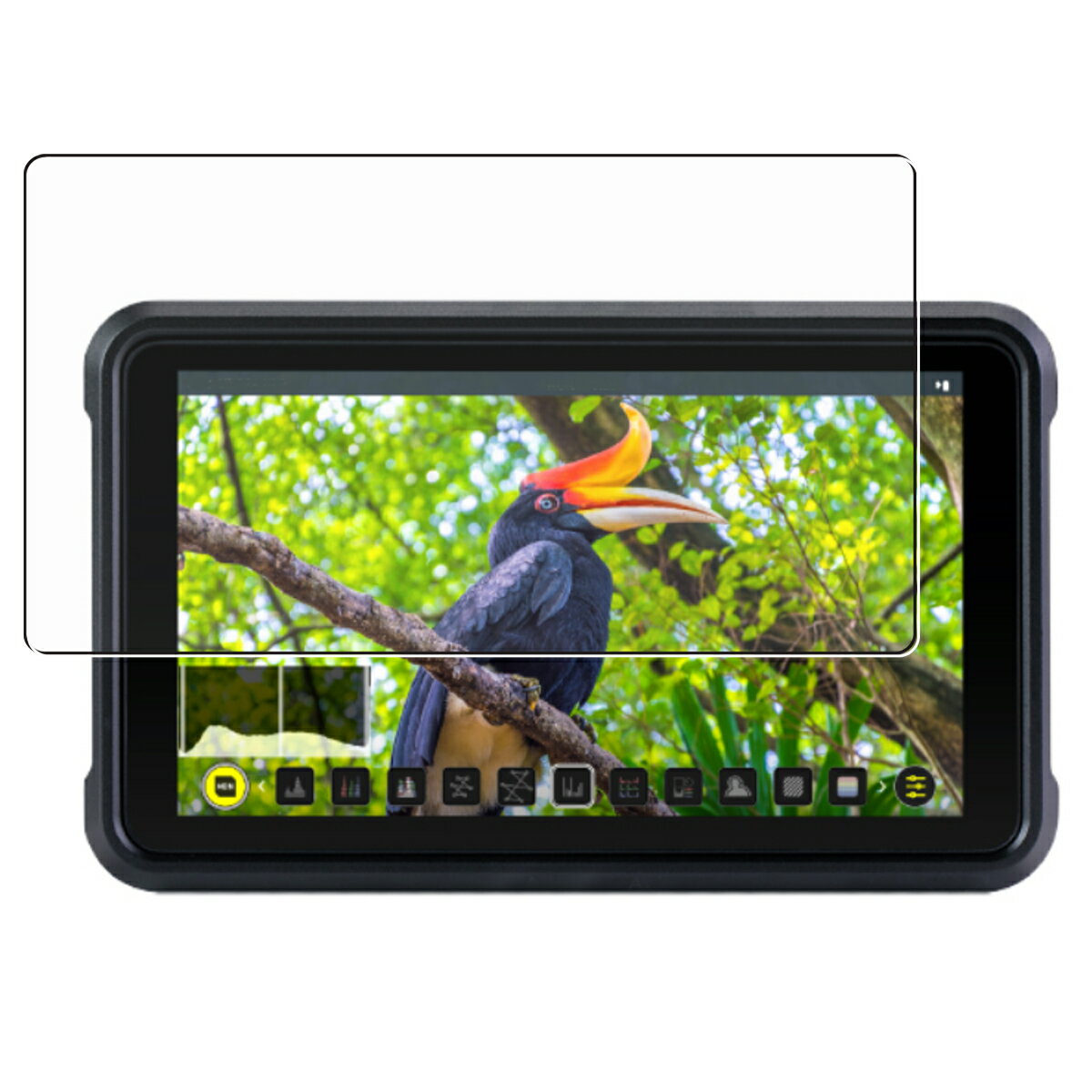 ATOMOS SHINOBI ATOMSHBH01 p  ׂ R RECX NA ^Cv t ی tB  AgX Vmr