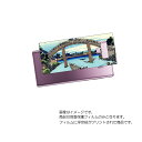 Galaxy Note9 ( SC-01L / SCV40 )用 背面 保護 フィルム 浮世絵 プリント ( 葛飾北斎 「富嶽三十六景 深川万年橋下」) ★ S...