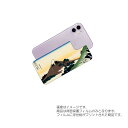 Apple iPhone 11 用 背面 保護 フィルム 浮世絵 プリント ( 葛飾北斎 「富嶽三十六景 甲州犬目峠」) ★ アップル アイフォン イレブン