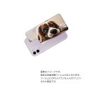 Apple iPhone 11 用 背面 保護 フィルム 動物 プリント ( かわいい ワンちゃん ) ★ アップル アイフォン イレブン