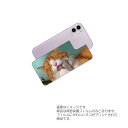 Apple iPhone 11 用 背面 保護 フィルム 動物 プリント ( かわいい ネコ ) ★ アップル アイフォン イレブン