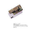 Apple iPhone 11 用 背面 保護 フィルム 動物 プリント ( かわいい ラッコ ) ★ アップル アイフォン イレブン