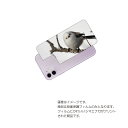 Apple iPhone 11 用 背面 保護 フィルム 動物 プリント ( かわいい シマエナガ ) ★ アップル アイフォン イレブン