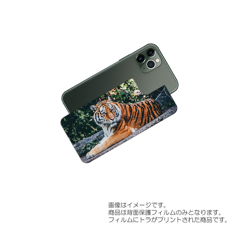 Apple iPhone 11 用 背面 保護 フィルム 動物 プリント ( トラ ) ★ アップル アイフォン イレブン