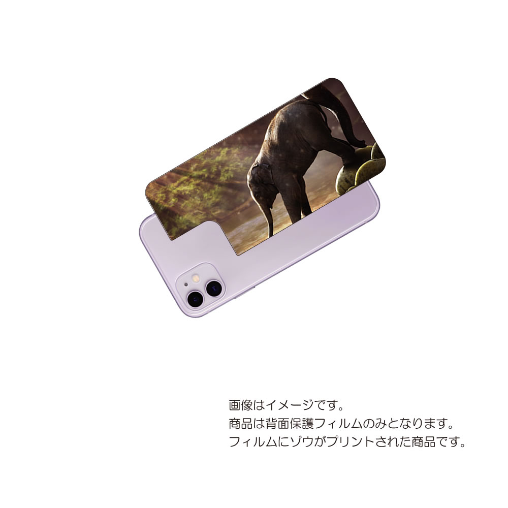 Apple iPhone 11 用 背面 保護 フィルム 動物 プリント ( ゾウ ) ★ アップル アイフォン イレブン