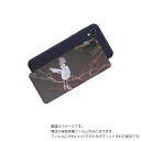 Android One S5 用 背面 保護 フィルム かわいい シマエナガ の プリント ( Photo by 小原玲 ) ★ アンドロイド ワン エス ファイブ しまえなが