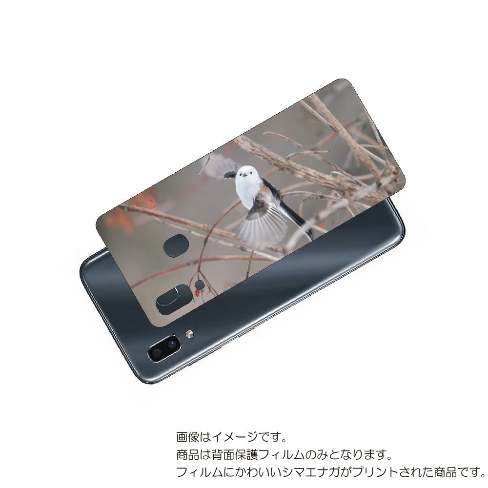 Galaxy A30 用 背面 保護 フィルム かわいい シマエナガ の プリント ( Photo by 小原玲 ) ★ SAMSUNG サムスン ギャラクシー...