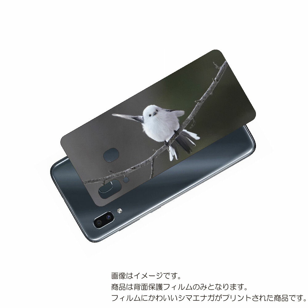 Galaxy A30 用 背面 保護 フィルム かわいい シマエナガ の プリント ( Photo by 小原玲 ) ★ SAMSUNG サムスン ギャラクシー...
