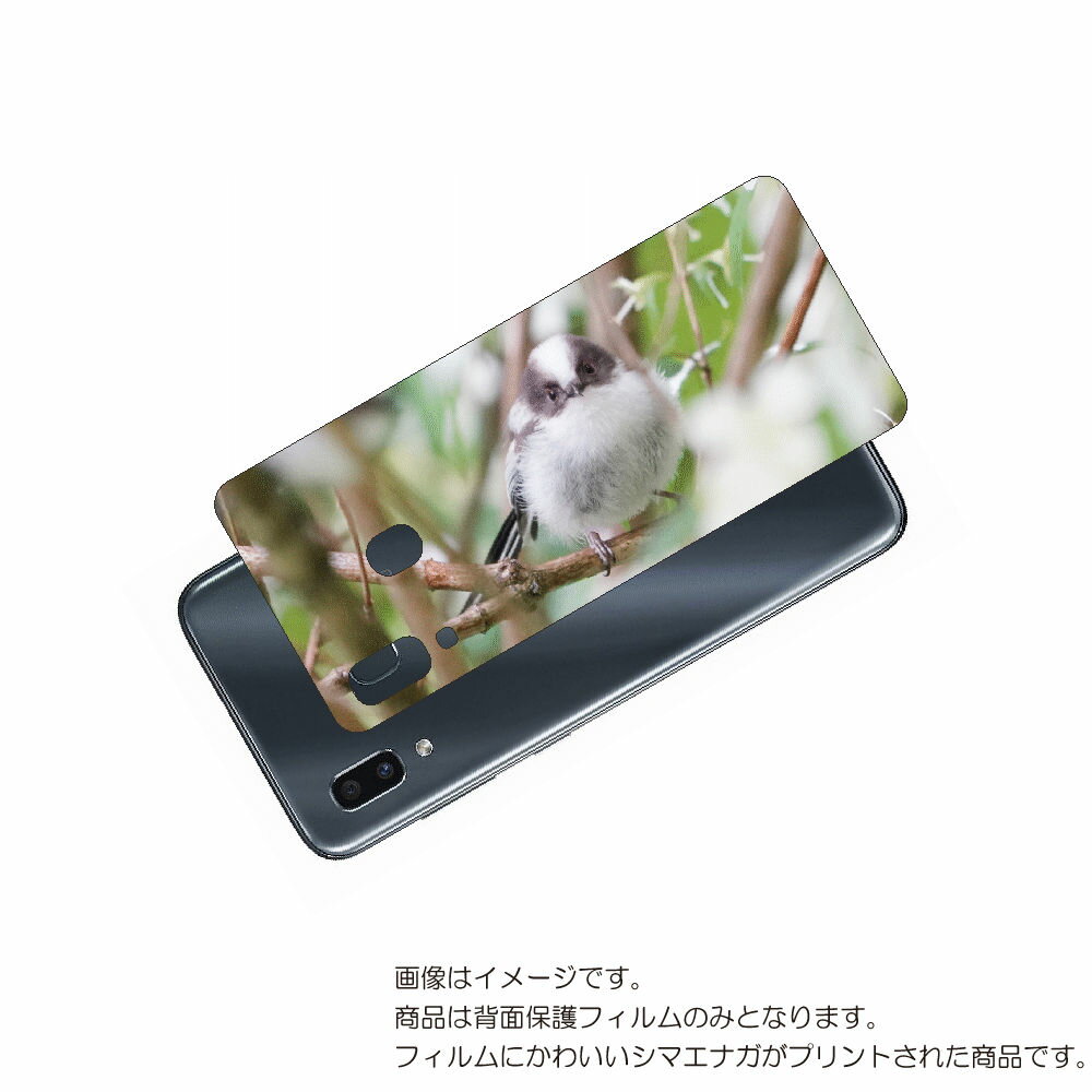 Galaxy A30 用 背面 保護 フィルム かわいい シマエナガ の プリント ( Photo by 小原玲 ) ★ SAMSUNG サムスン ギャラクシー...