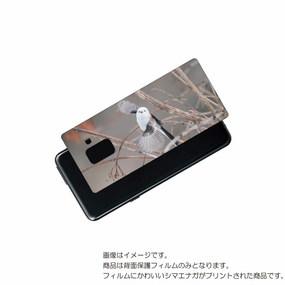 Galaxy Feel2 ( SC-02L ) 用 背面 保護 フィルム かわいい シマエナガ の プリント ( Photo by 小原玲 ) ★ SAMSUN...