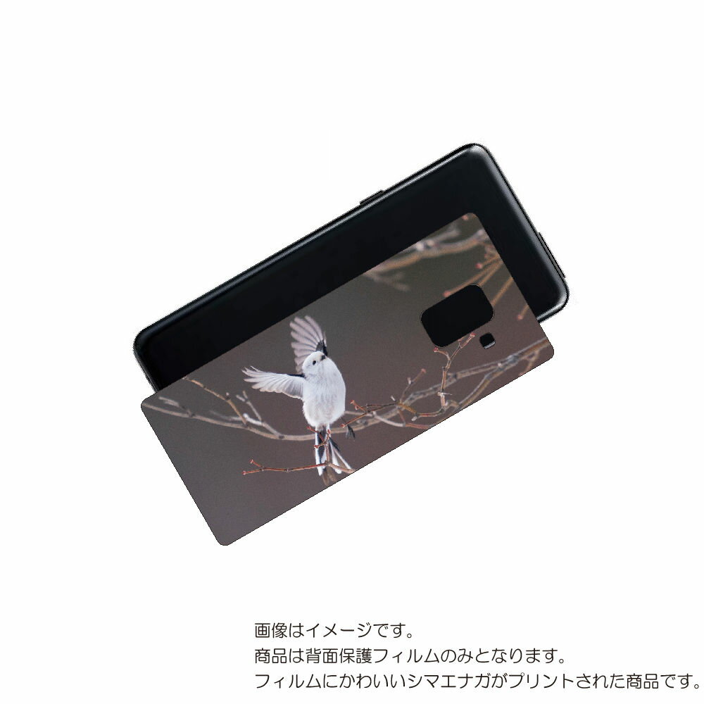 Galaxy Feel2 ( SC-02L ) 用 背面 保護 フィルム かわいい シマエナガ の プリント ( Photo by 小原玲 ) ★ SAMSUN...
