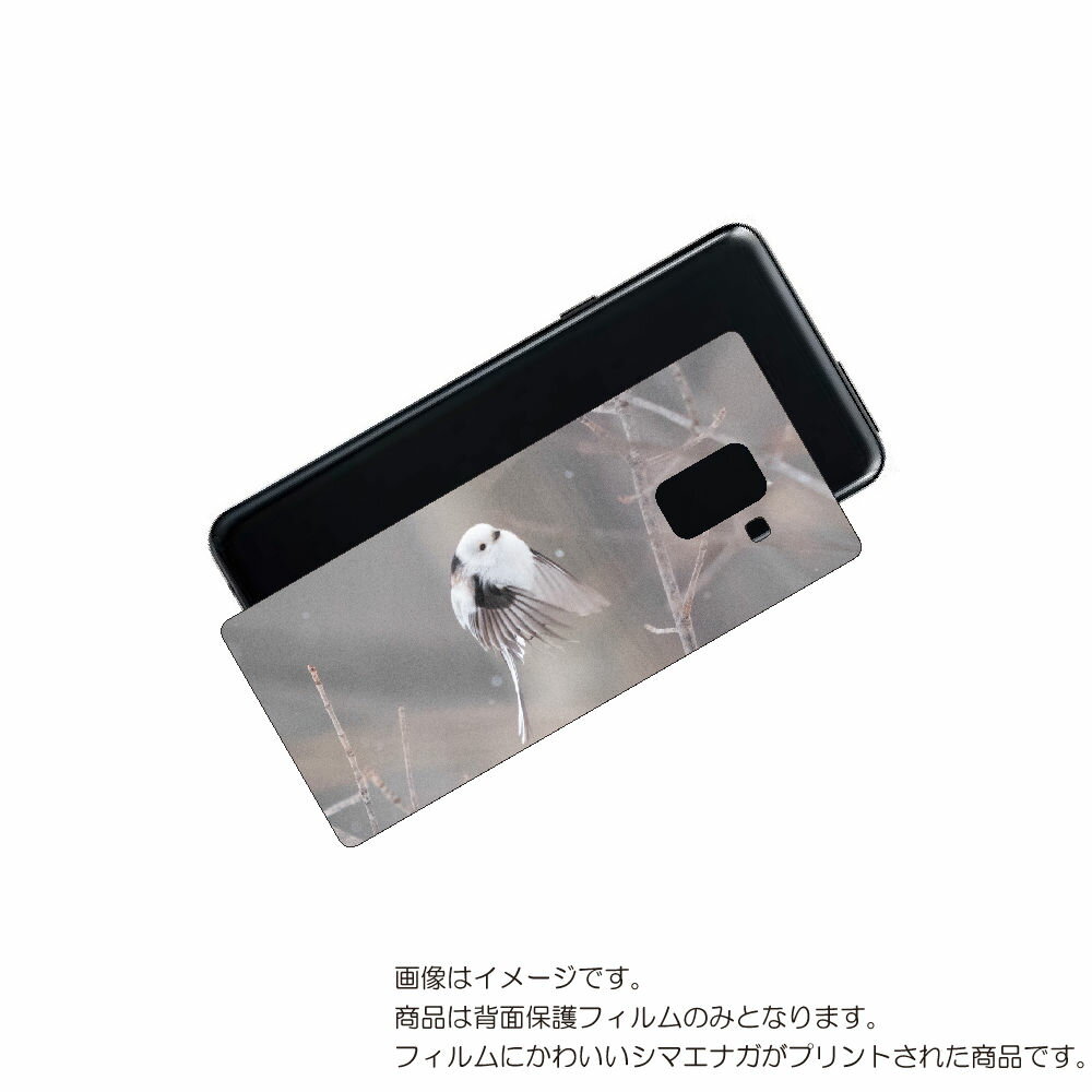 Galaxy Feel2 ( SC-02L ) 用 背面 保護 フィルム かわいい シマエナガ の プリント ( Photo by 小原玲 ) ★ SAMSUN...