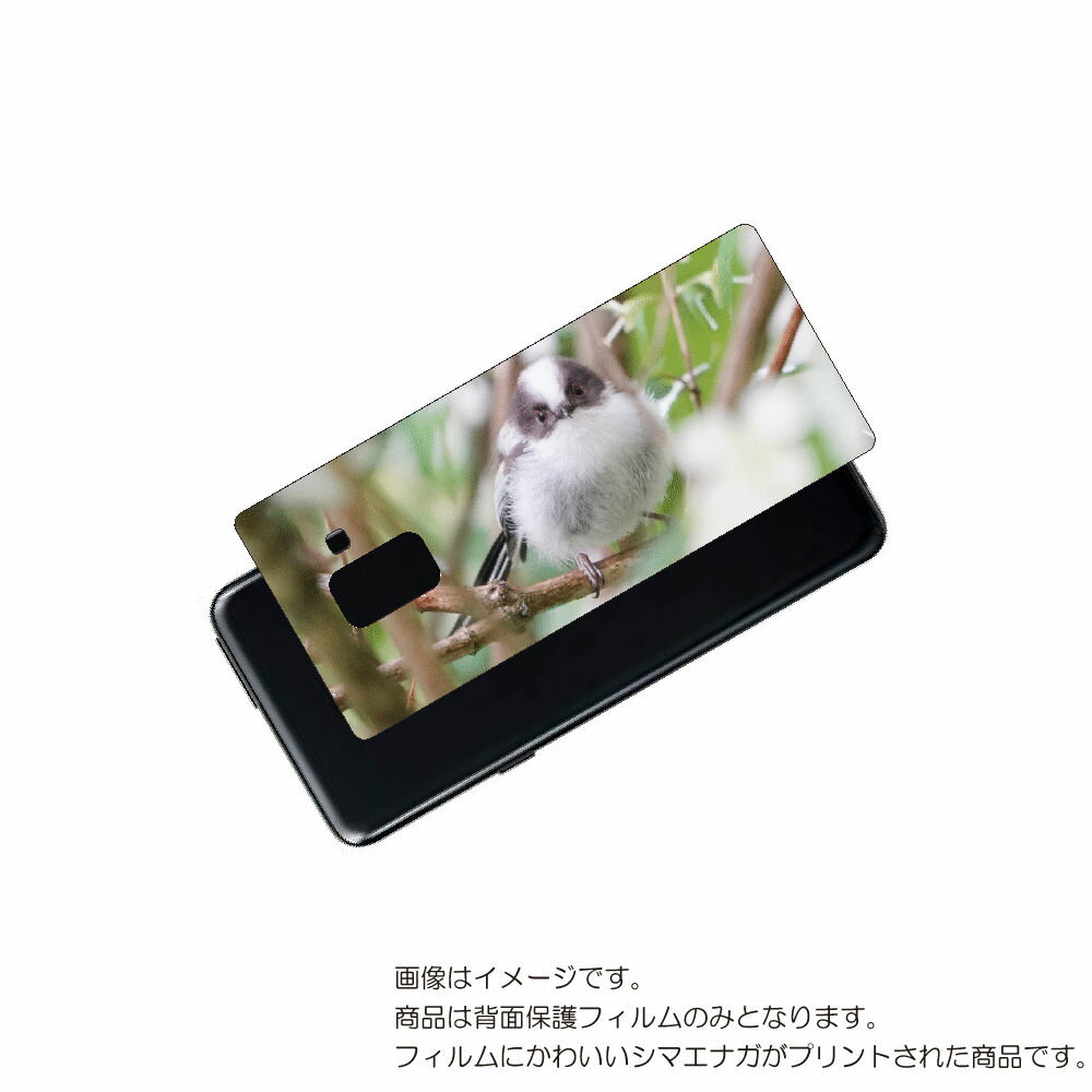 Galaxy Feel2 ( SC-02L ) 用 背面 保護 フィルム かわいい シマエナガ の プリント ( Photo by 小原玲 ) ★ SAMSUN...