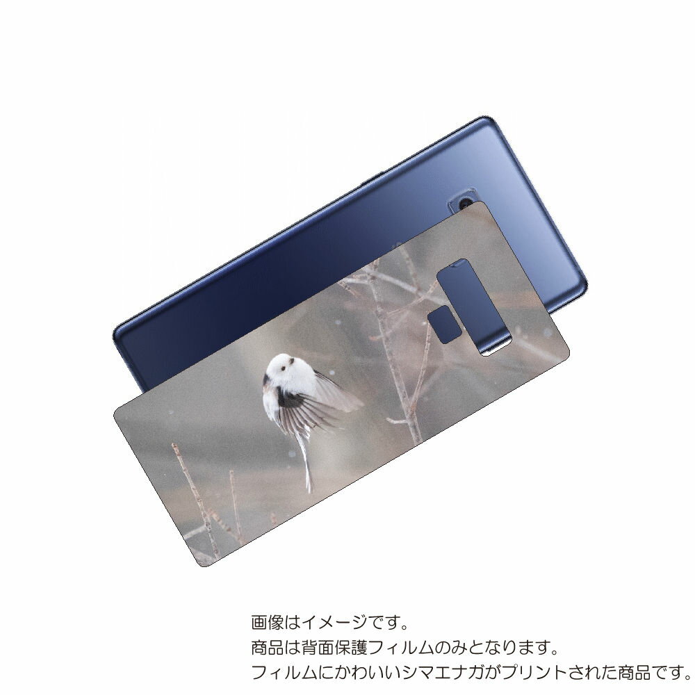 Galaxy Note9 ( SC-01L / SCV40 ) 用 背面 保護 フィルム かわいい シマエナガ の プリント ( Photo by 小原玲 ) ...