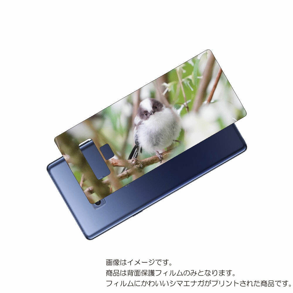 Galaxy Note9 ( SC-01L / SCV40 ) 用 背面 保護 フィルム かわいい シマエナガ の プリント ( Photo by 小原玲 ) ...