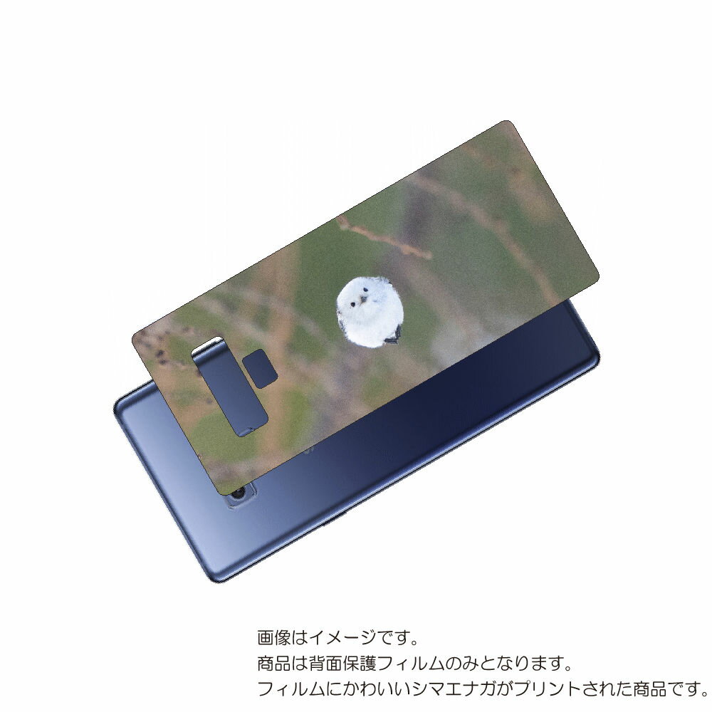 Galaxy Note9 ( SC-01L / SCV40 ) 用 背面 保護 フィルム かわいい シマエナガ の プリント ( Photo by 小原玲 ) ...