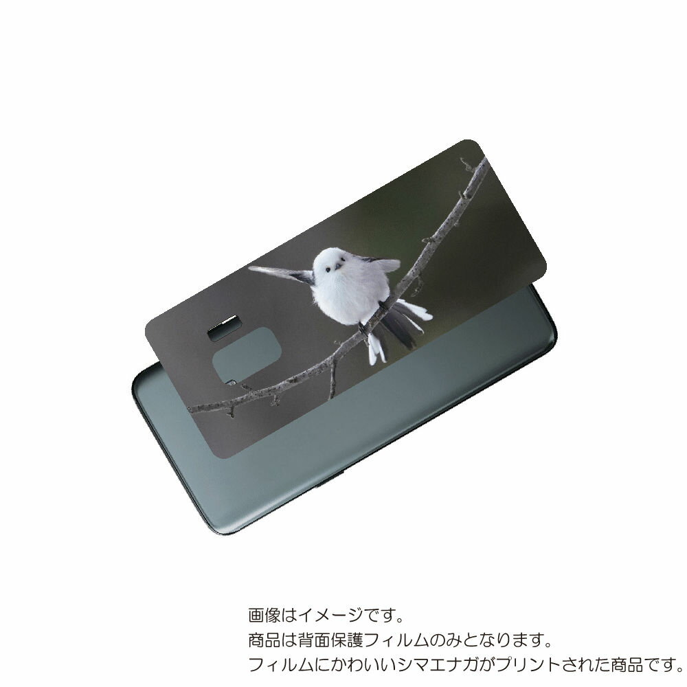 Galaxy S9 ( SC-02K / SCV38 ) 用 背面 保護 フィルム かわいい シマエナガ の プリント ( Photo by 小原玲 ) ★ S...